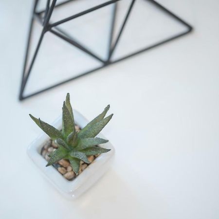"D&M" Studio Apartments زغرب المظهر الخارجي الصورة